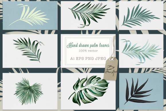 Download Jungle Palm Vector Leaves Set - Jungle palm Collection