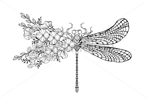 Download Dragonfly with Contour California Poppy - Premium Resources